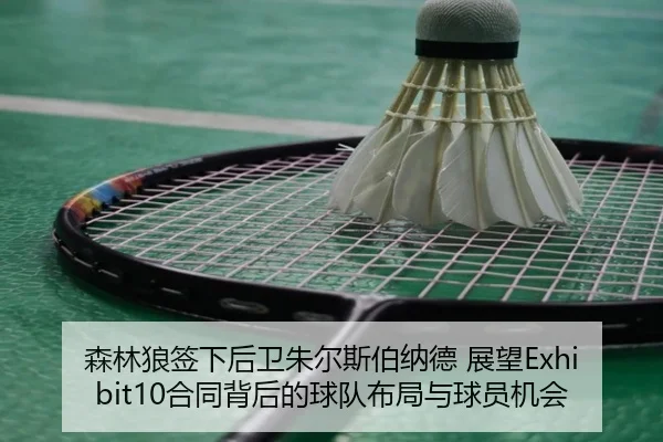 森林狼签下后卫朱尔斯伯纳德 展望Exhibit10合同背后的球队布局与球员机会